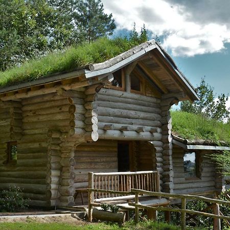 La Cabane De Hans Saint-Martial-de-Gimel 外观 照片
