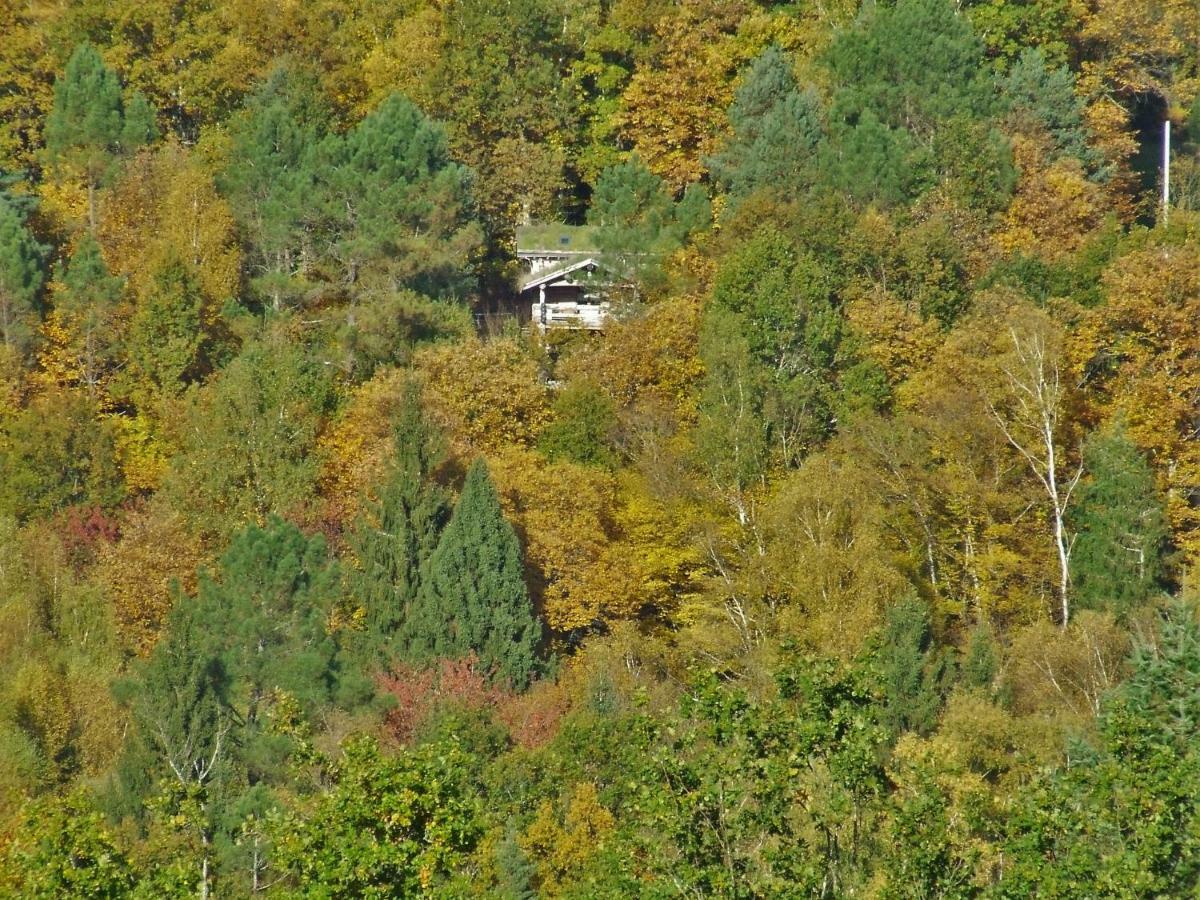 La Cabane De Hans Saint-Martial-de-Gimel 外观 照片