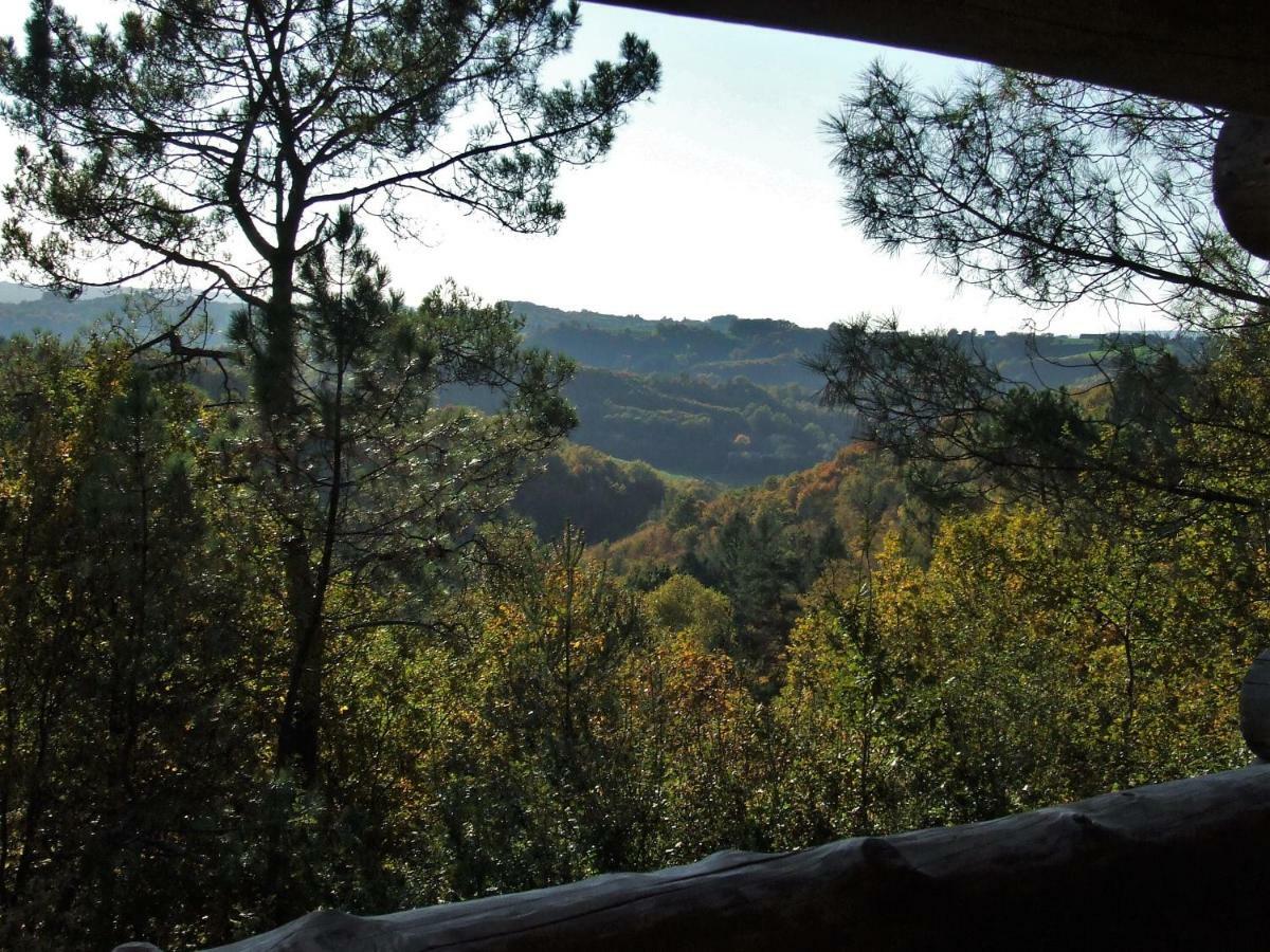 La Cabane De Hans Saint-Martial-de-Gimel 外观 照片